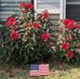 Curtis Scherer Scherer - Facebook