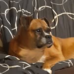 Lisa Curtis Shields - @shields.lisa.925 - Instagram