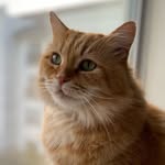 Curtis Stanley - @mainecurtisstanley - Instagram