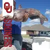 Curtis Stanley - @curtisstanley0 - TikTok
