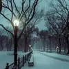 curtisstanleyhait - @curtisstanleyhait - TikTok