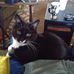 Curtis Stellfox - Facebook