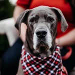 Curtis Sutherland - @curtis_345_cares - Instagram