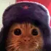 curtis_sutherland - @curtis_sutherland - TikTok