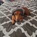 Curtis Thayer - Facebook