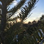 Curtis Thurston - @curtist321 - Instagram