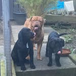 curtis_ward - @curtis__ward__ - Instagram
