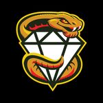 Curtis Ward - @diamondvalleyreptiles - Instagram