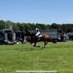 Curtis McDonagh-Weber - @cmw_eventing - Instagram