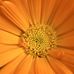 Curt Whiting - Facebook