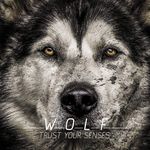 Curtis Wolfe - @curtis.wolfe.90 - Instagram