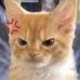 Carter Mishi - Facebook
