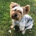 Custer Mishich - Facebook