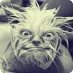 Custer Mishich - @custer3903 - Instagram