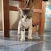 Mishi Castor - Facebook