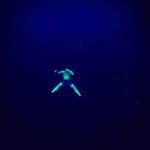Cy Morris - @cy.morris.9 - Instagram