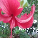 Cydney Hill - @cyd838 - Instagram