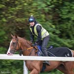 Cyd👸🏼🐎 - @cydneywilliams8 - Instagram
