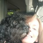 Cyndi Bender George - @cyndibendergeorge - Instagram