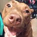 Cyndi Liedkie-Booth - Facebook