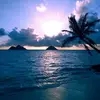 Cyndi Brown - @cyndi.brown8 - TikTok