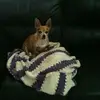 Cindy Carroll - @cindy.carroll0 - TikTok