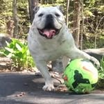 Cyndi Carroll - @carroll.cyndi - Instagram