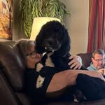 Cyndi Carroll Roberson - @frogloftboutique - Instagram