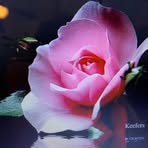Cindy Colvin - Facebook