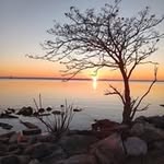 Cyndi Brunt Colvin - @cyndijcolvin - Instagram