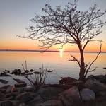Cyndi Brunt Colvin - @llcyndill - Instagram