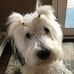 Cindy Conway - Facebook
