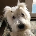 Cindy Conway - @cindy.conway.313 - Instagram