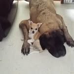 Cindy Conway Sager - @cindyconwaysager - Instagram