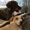cyndidavidturnage - @cyndidavidturnage - TikTok