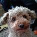 Cindy Fields - Facebook