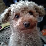 Cindy Fields - @cindyfields1241 - Instagram
