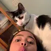 Cindy Fox - @cindyfox.23 - TikTok