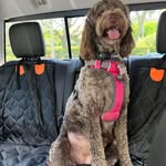 Cyndi Ratoff Fox - @c_b_r_f - Instagram