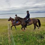 Cyndi Graham - @cyndi.graham.54 - Instagram