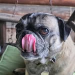 Cyndi Hall - @cyndi3295 - Instagram