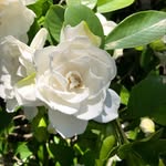 Cyndi Hall - @cyndihallfl - Instagram