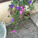 Cyndi Hubbard Hall - @cyndihall - Instagram