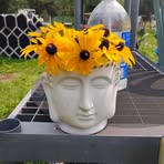 Cindy Hart - Facebook
