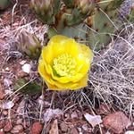 Cindy Olson - @cindyolson2379 - Instagram