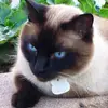Cyndi Olson815 - @bentclaude - TikTok