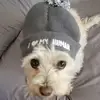 Cyndi Olson - @cyndi.olson - TikTok