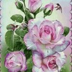 Cyndi Rose - @crose442 - Instagram