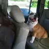 cyndiross627 - @cyndiross627 - TikTok