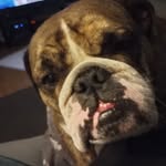 Cynthia Ross - @ross_cyndi - Instagram